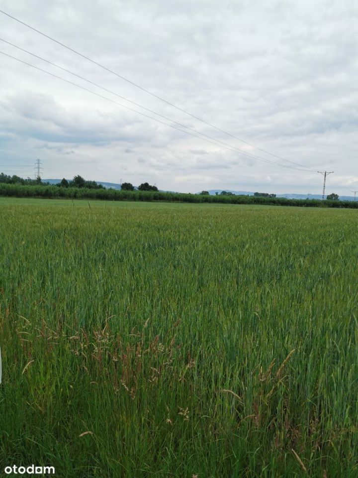 Działka inwestycyjna Nowy Sącz Biegonice, ul. Towarowa