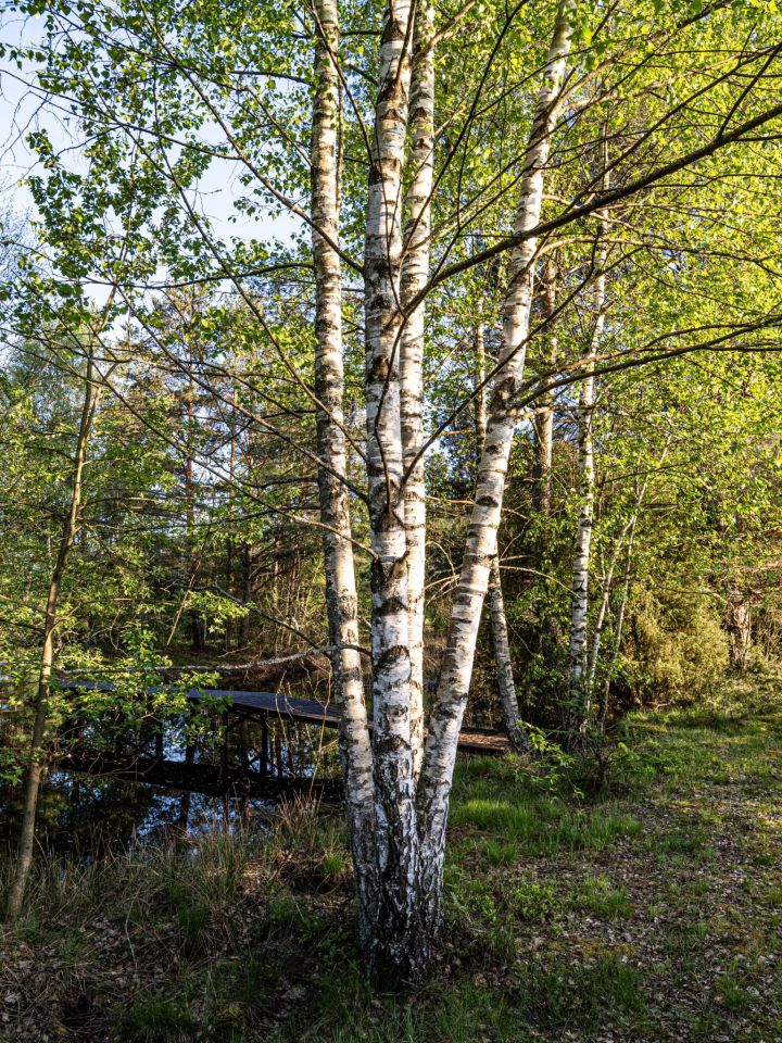 Działka rolna Kalisz, ul. Polna. Zdjęcie 10