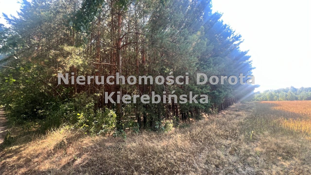 Działka rolna Wale. Zdjęcie 11