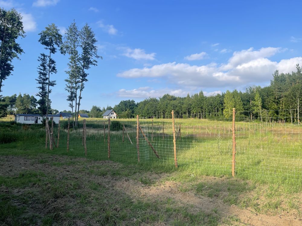 Działka rekreacyjna Demlin. Zdjęcie 2