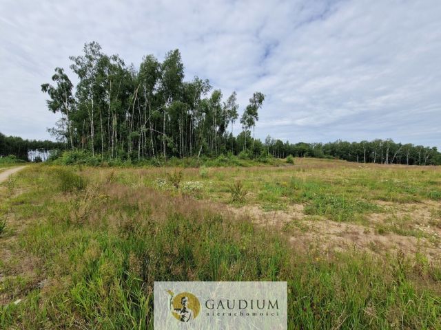 Działka budowlana Przywidz. Zdjęcie 18