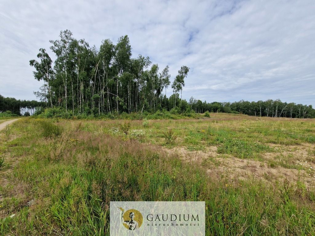 Działka budowlana Przywidz. Zdjęcie 18
