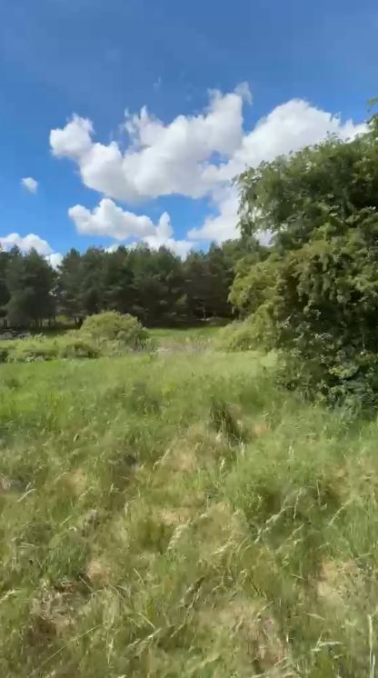 Działka rolna Lipy. Zdjęcie 2