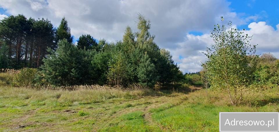 dom wolnostojący Bukowina Sycowska. Zdjęcie 11