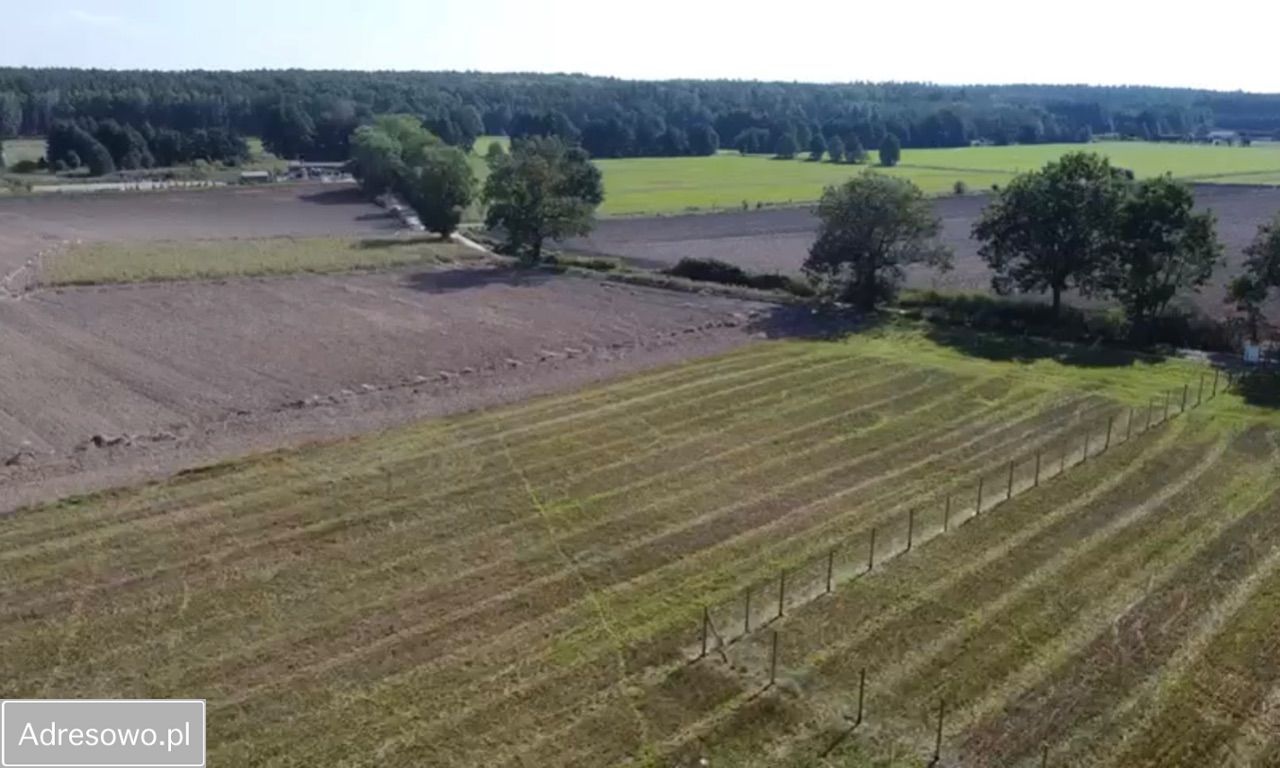 Działka Boduszewo, ul. Zielonczana. Zdjęcie 2