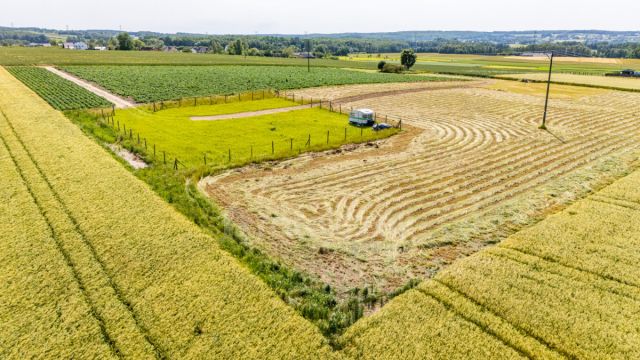 Działka budowlana Sychowo, ul. Królewska. Zdjęcie 10