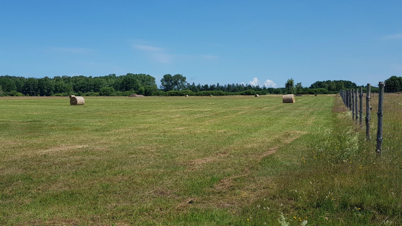 Działka budowlana Sarbsk, Sarbsk. Zdjęcie 9