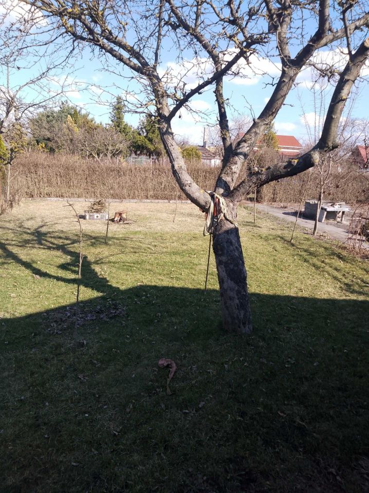 Działka rod Opole, ul. Ludwika Solskiego. Zdjęcie 6