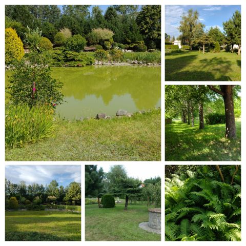 dom wolnostojący, 9 pokoi Sobącz. Zdjęcie 44