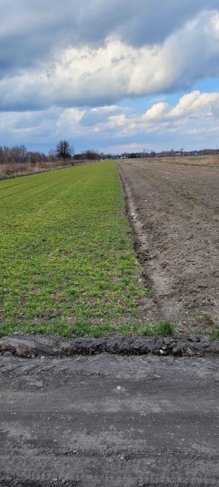 Działka rolna Łuków, ul. Malinowa. Zdjęcie 4