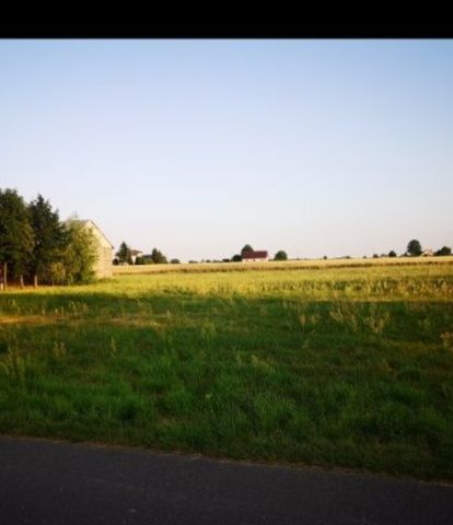 Działka rolno-budowlana Rychwał Milew, ul. Milewo. Zdjęcie 1