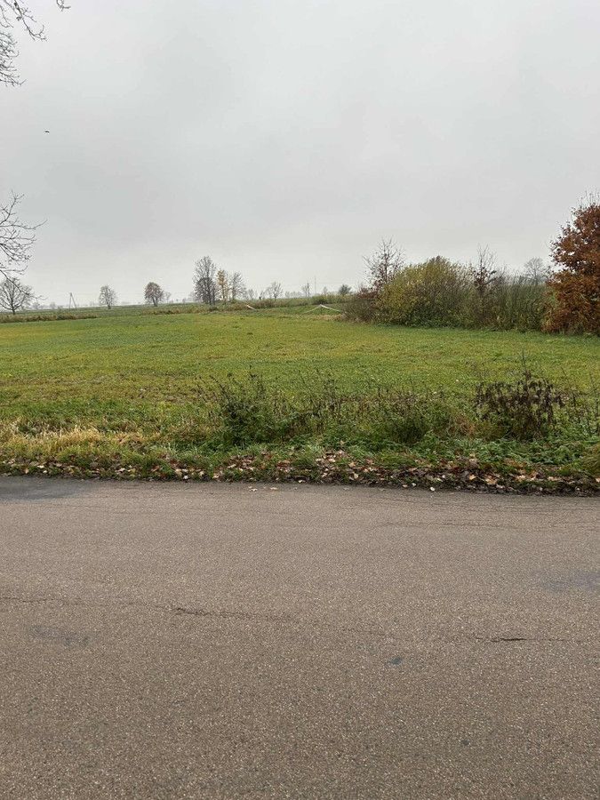 Działka rolno-budowlana Gronowo Elbląskie, ul. Elbląska. Zdjęcie 7