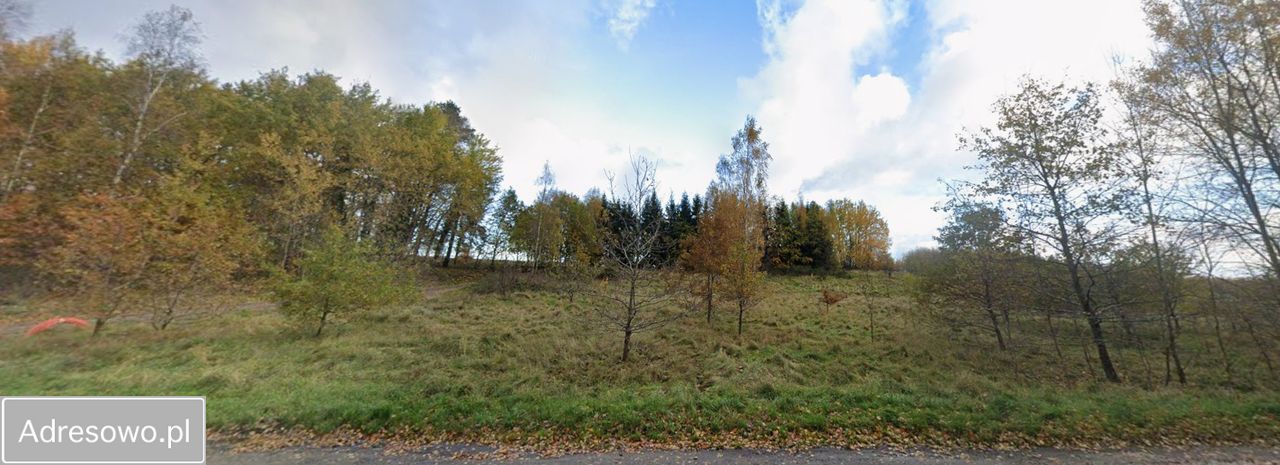 Działka siedliskowa Gorzebądz