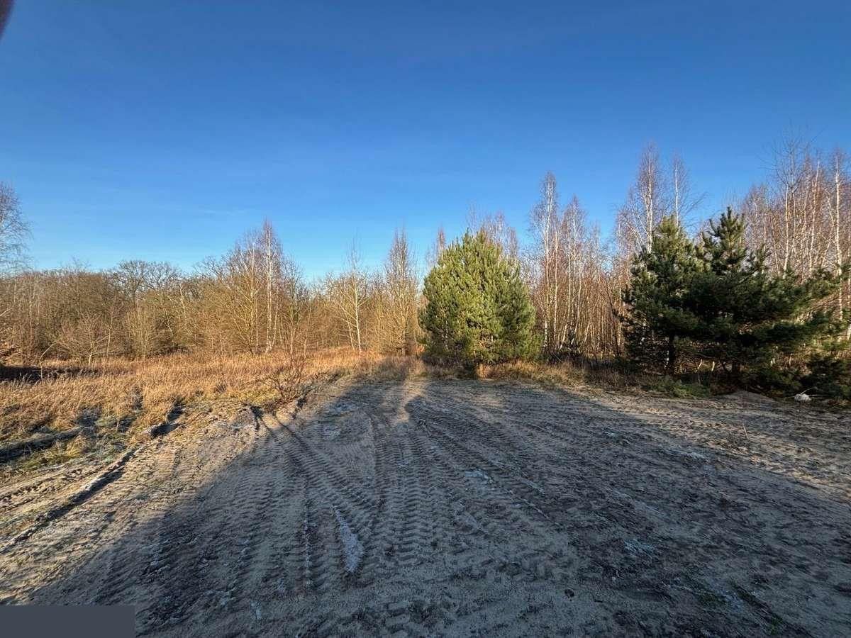 Działka budowlana Lubsko, ul. Jarzębinowa. Zdjęcie 10