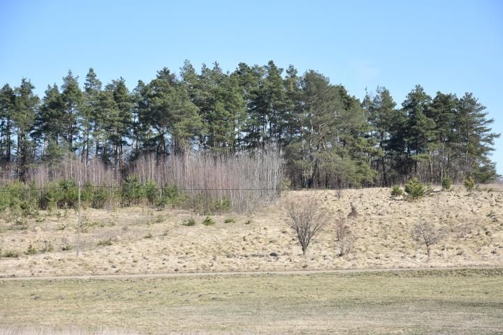 Działka rekreacyjna Sople. Zdjęcie 8