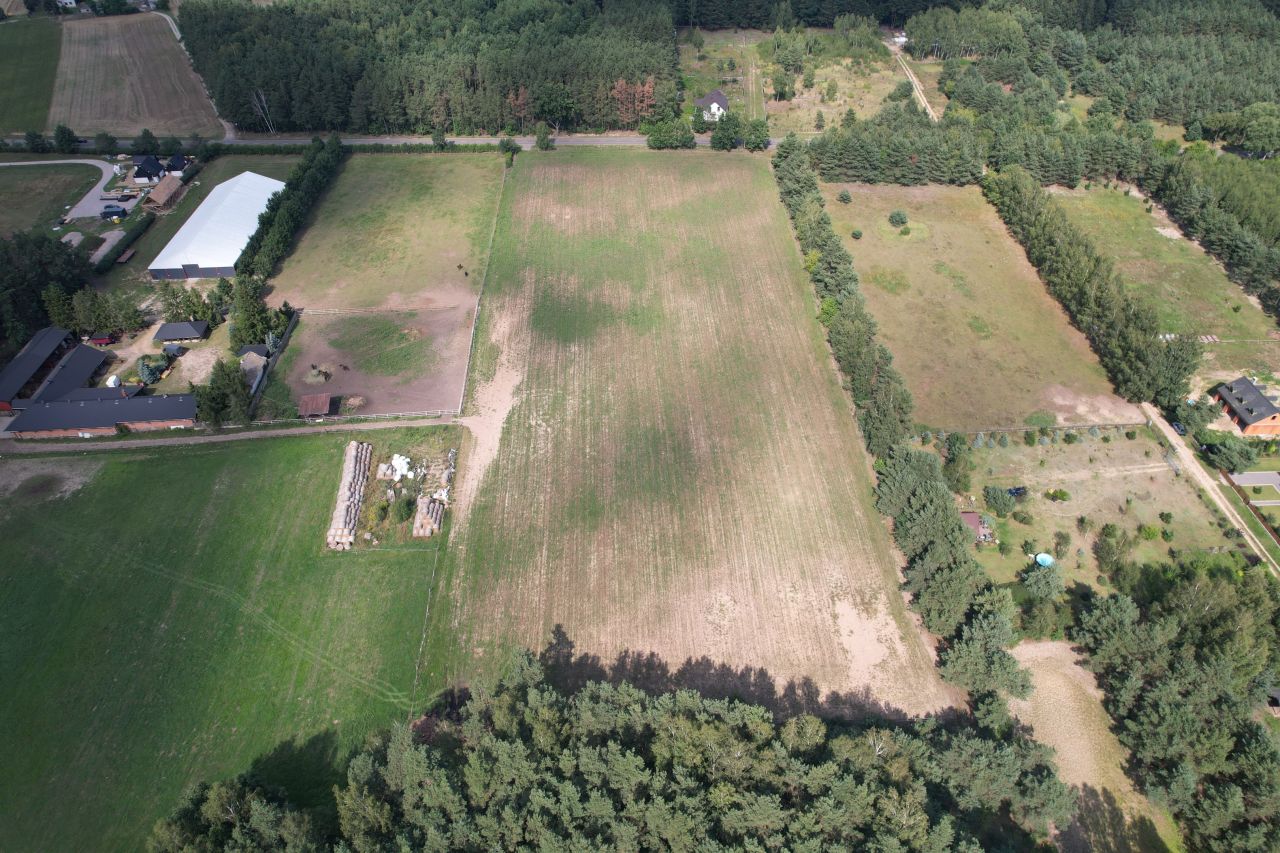 Działka budowlana Zalesie Borowe. Zdjęcie 7