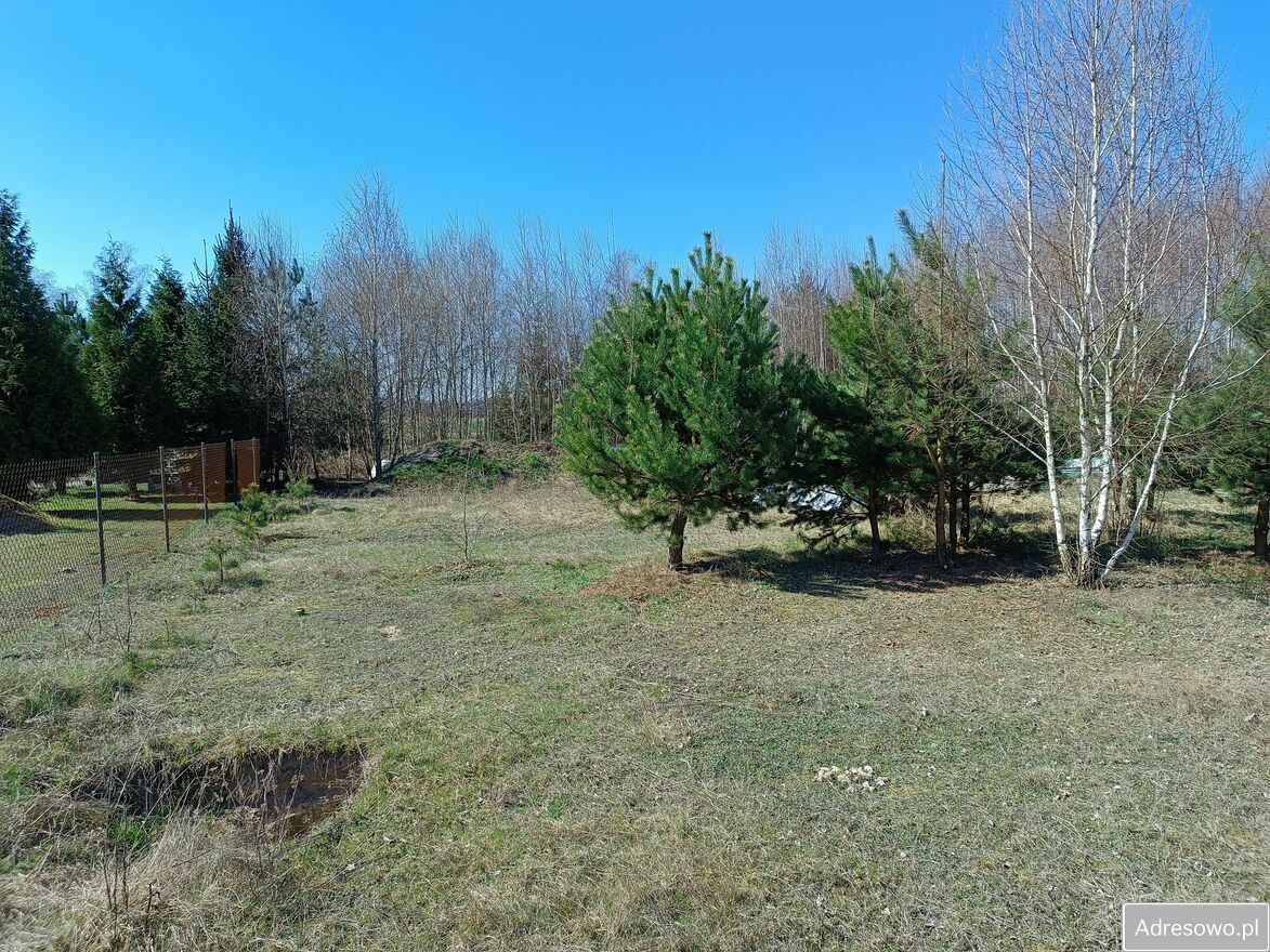 Działka rekreacyjna Janowice. Zdjęcie 5