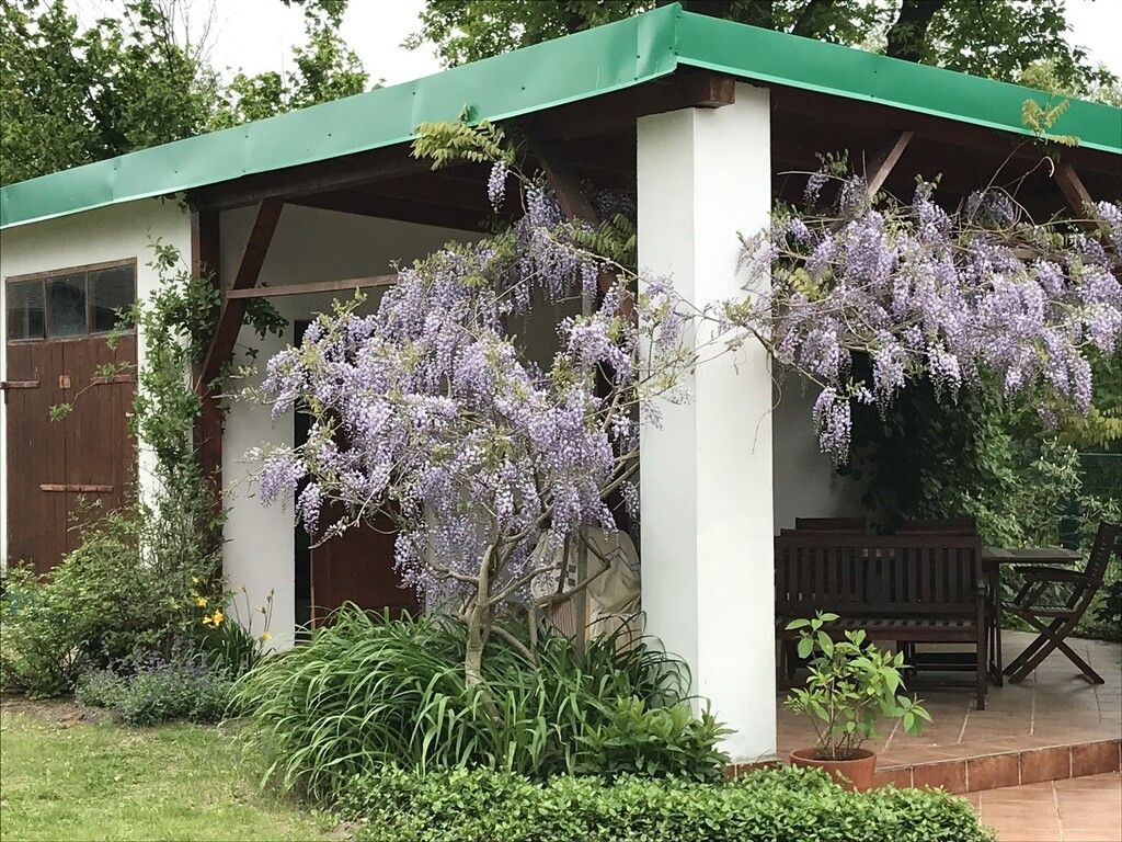 dom wolnostojący, 4 pokoje Nosy-Poniatki, ul. Szkolna. Zdjęcie 16