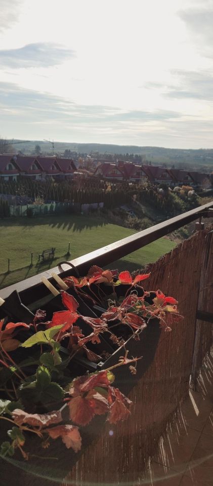 Mieszkanie 3-pokojowe Jaroty, ul. Stawigudzka. Zdjęcie 9