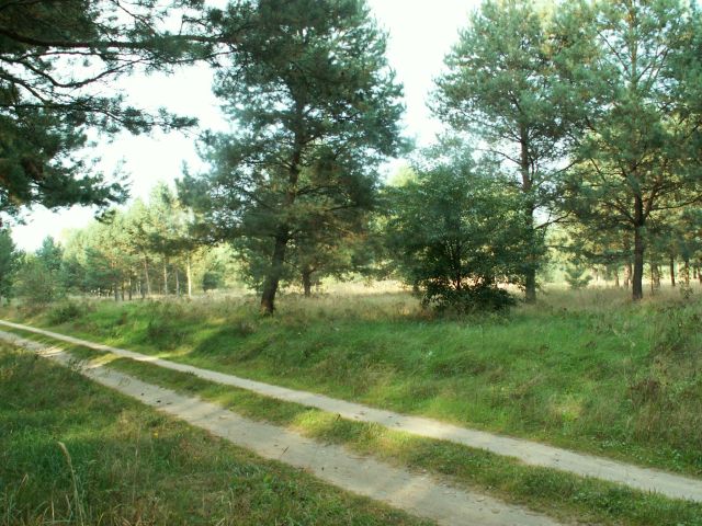 Działka rolno-budowlana Łowyń, ul. Leśna. Zdjęcie 2