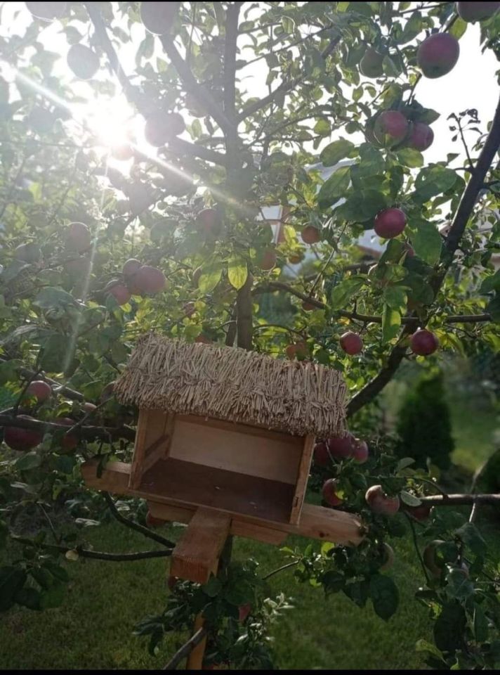 Działka rekreacyjna Łańcut. Zdjęcie 6