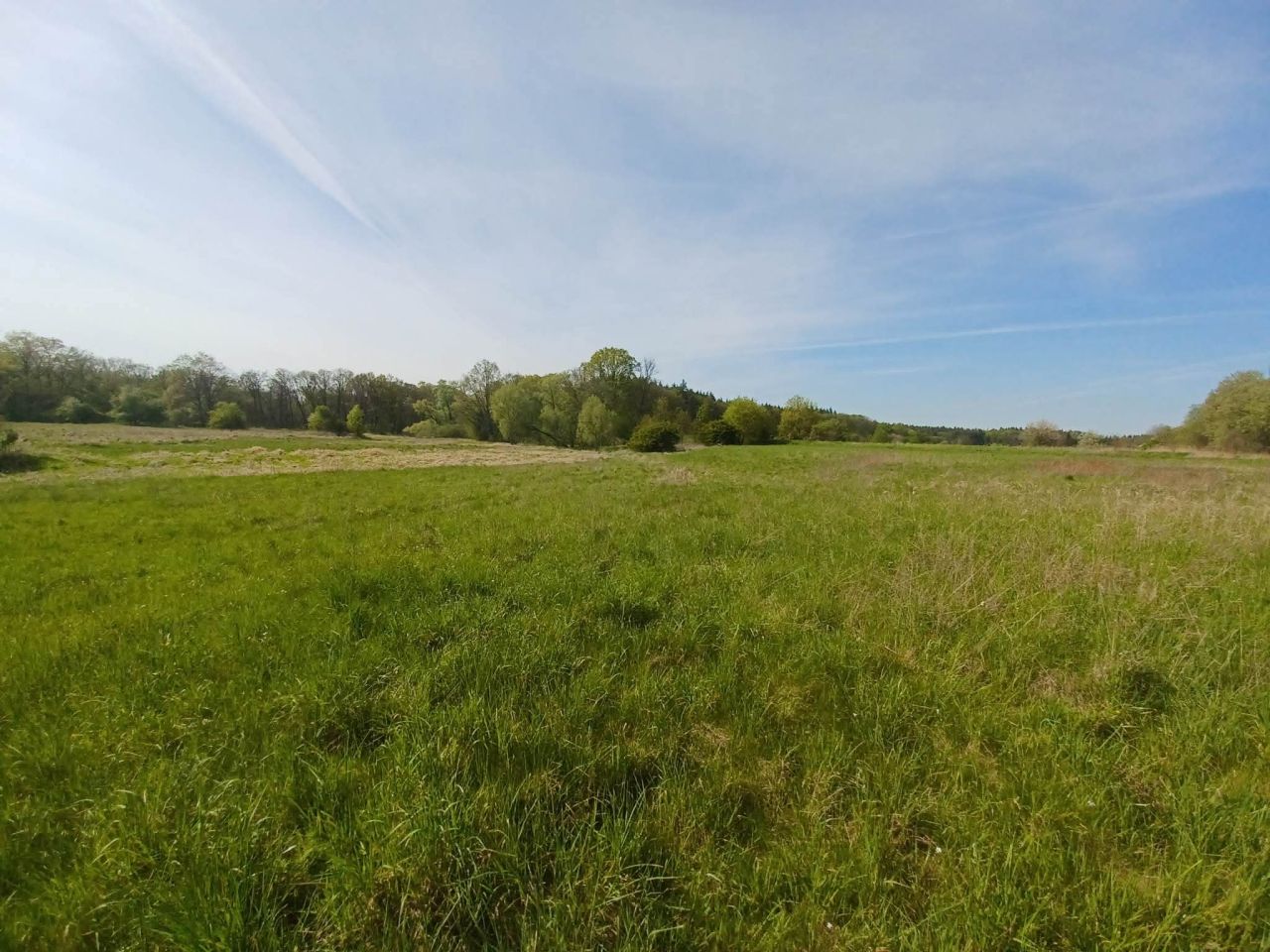 Działka rolna Gliniany. Zdjęcie 3