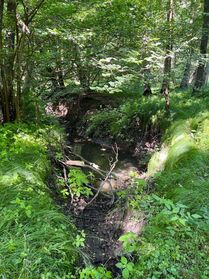 Działka rolno-budowlana Pszów, ul. Pszowska. Zdjęcie 15