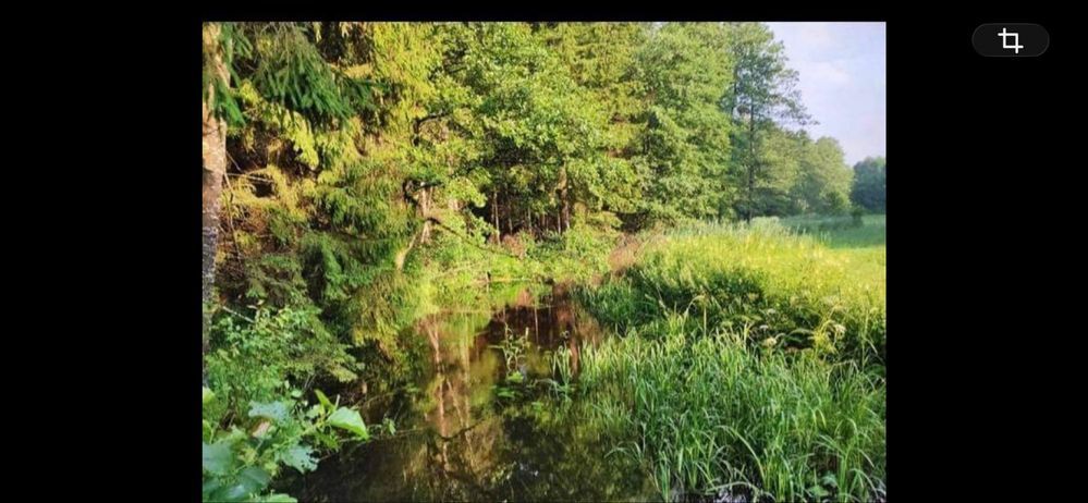 Działka rolna Strękowizna. Zdjęcie 2