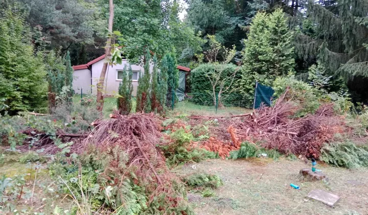 Działka rod Szczaki