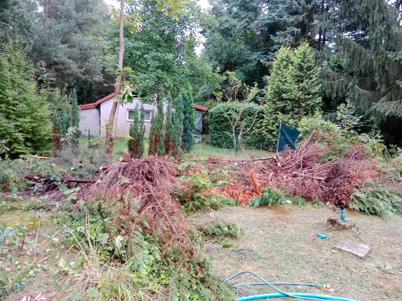 Działka rod Szczaki. Zdjęcie 1