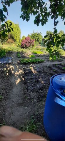 Działka rod Leszno, ul. Łąkowa. Zdjęcie 1