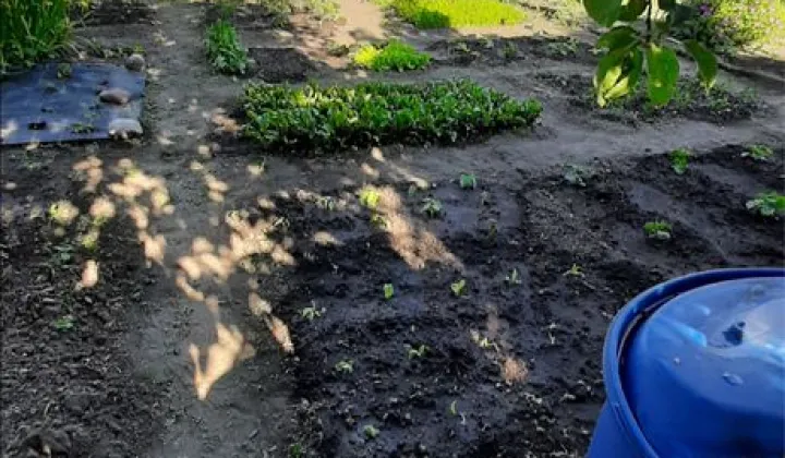 Działka rod Leszno, ul. Łąkowa