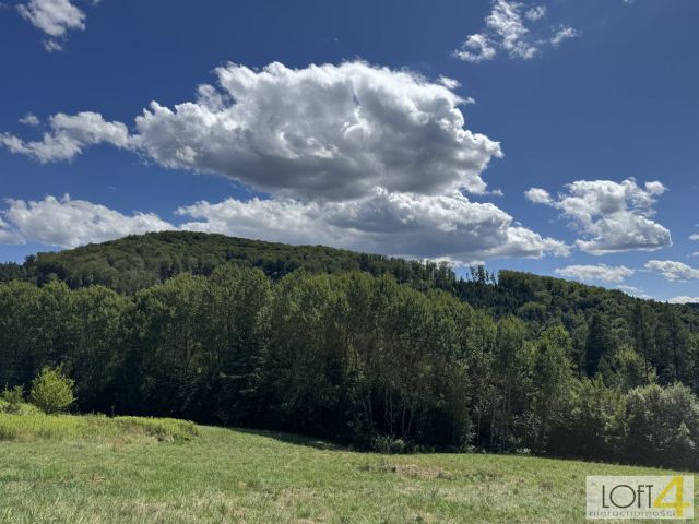 Działka budowlana Paleśnica. Zdjęcie 7