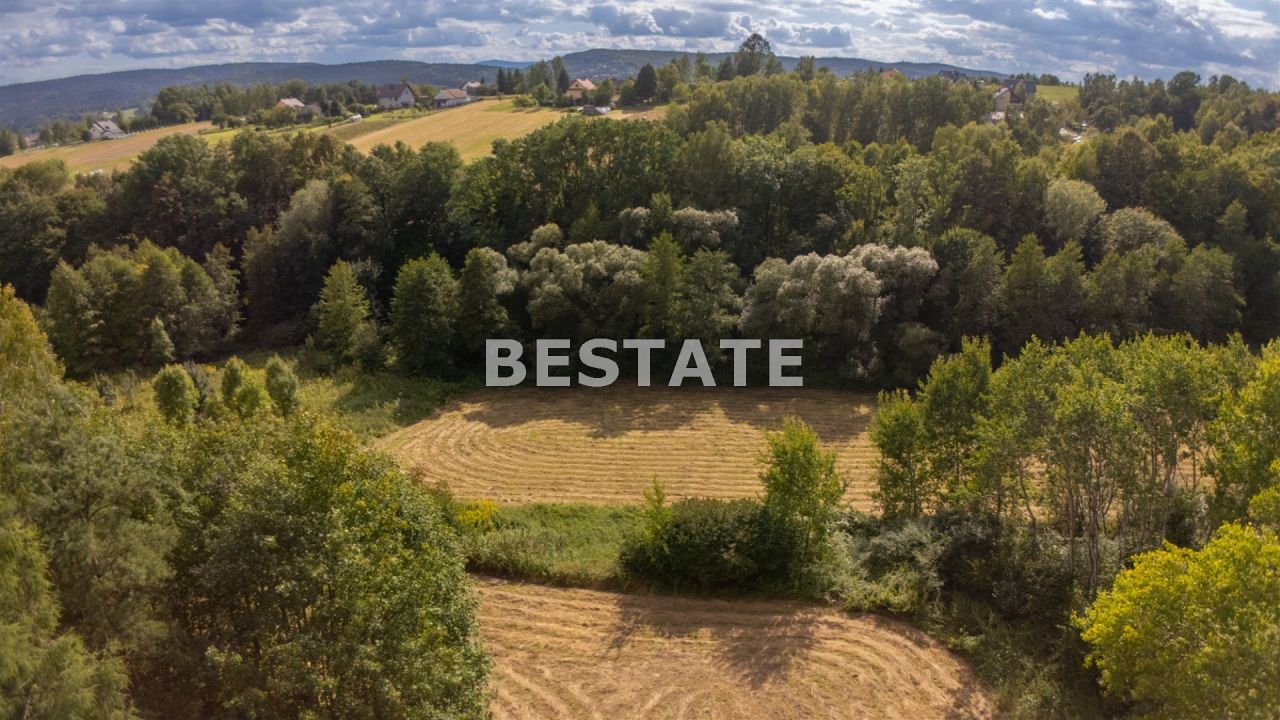 Działka rolna Lewniowa. Zdjęcie 3