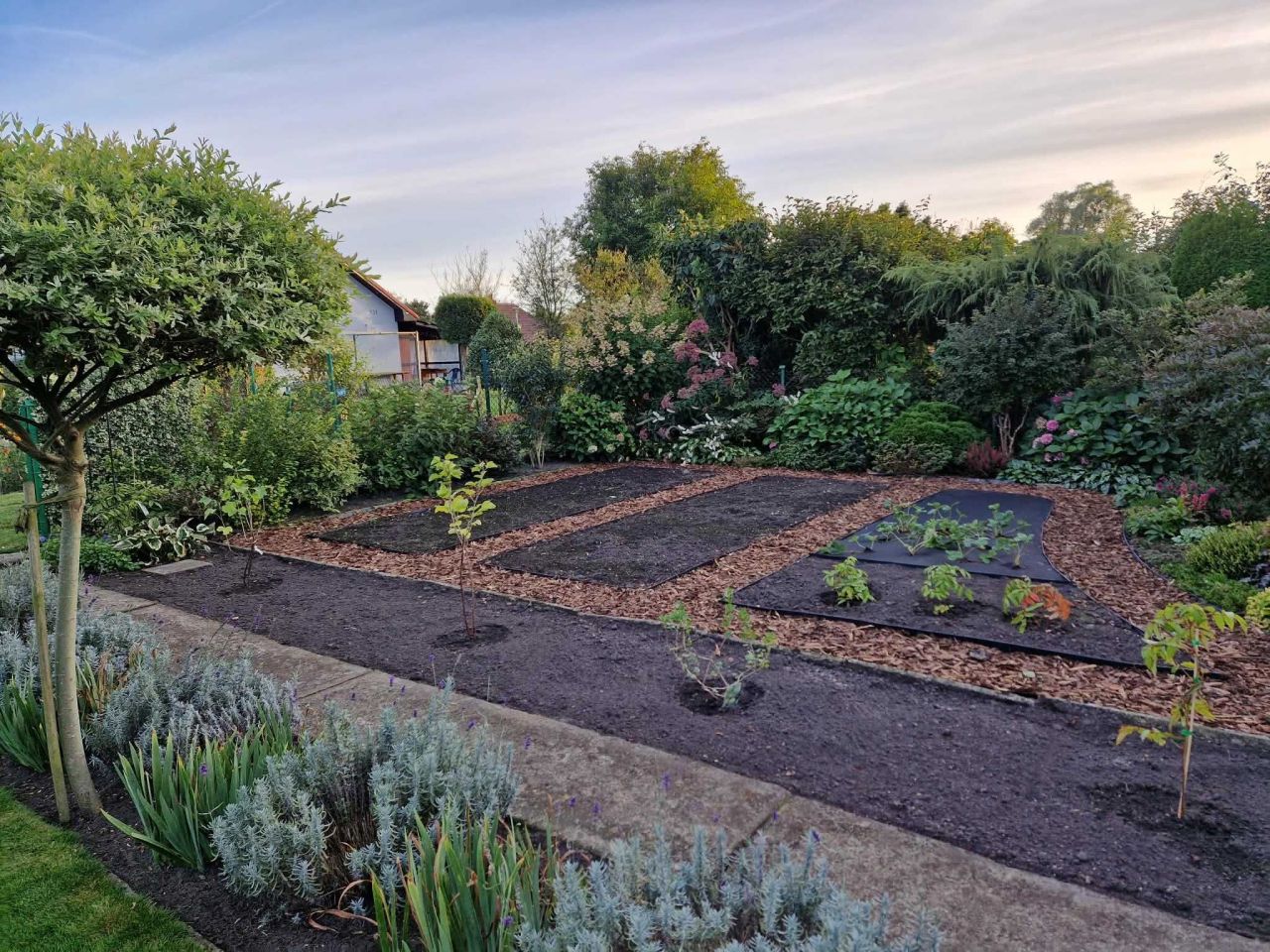 Działka rod Dębostrów, ul. Zielona. Zdjęcie 7