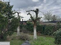 Działka rod Gniezno, ul. Powstańców Wlkp.. Zdjęcie 4