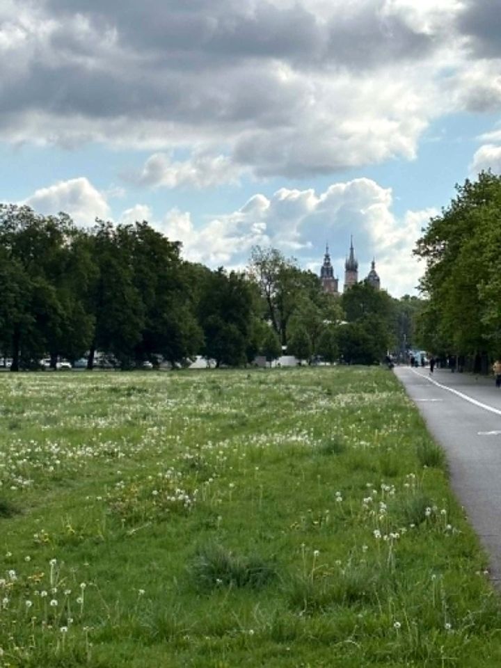 Mieszkanie 2-pokojowe Kraków Salwator, ul. Filarecka. Zdjęcie 14