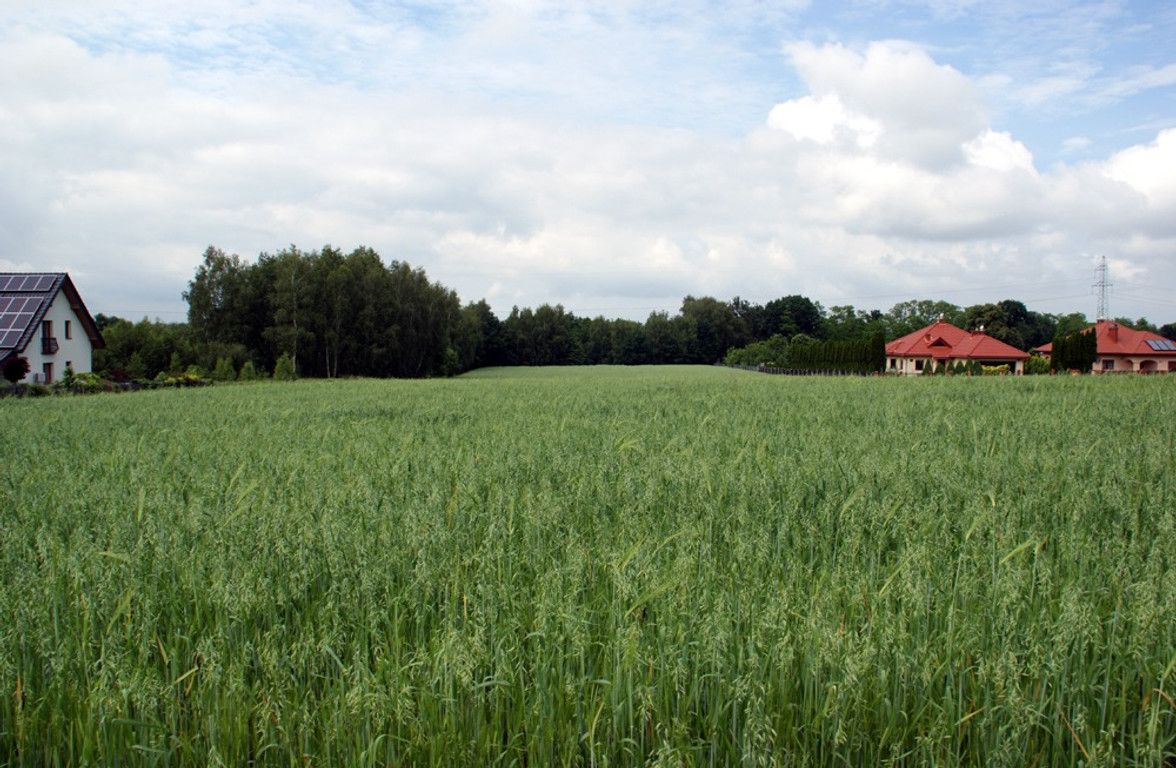 Działka budowlana Podgrodzie