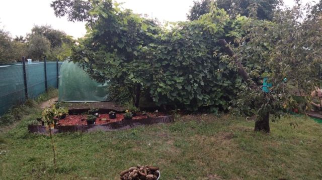 Działka rod Wrocław Fabryczna, ul. Klecińska. Zdjęcie 1