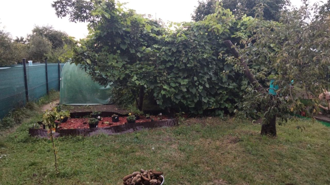 Działka rod Wrocław Fabryczna, ul. Klecińska