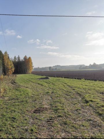 Działka Ostaszewo. Zdjęcie 1