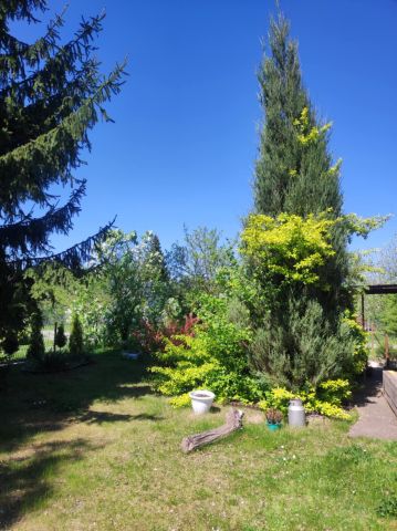 Działka rod Lubin. Zdjęcie 15