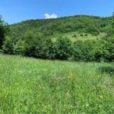 Działka budowlana Kamionka Wielka. Zdjęcie 2