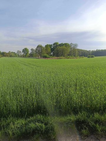 Działka inwestycyjna Kania. Zdjęcie 1