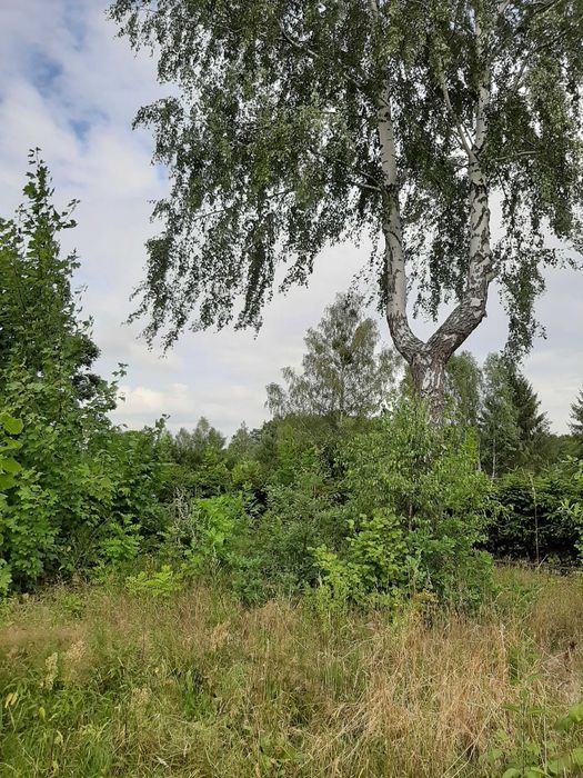 Działka budowlana Słupsk Ryczewo, ul. Sadowa. Zdjęcie 3