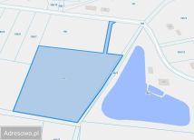 Działka rekreacyjna Komorów. Zdjęcie 2