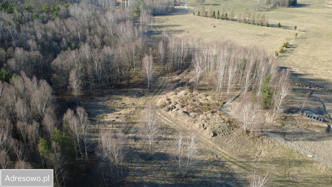 Działka budowlana Salino. Zdjęcie 13