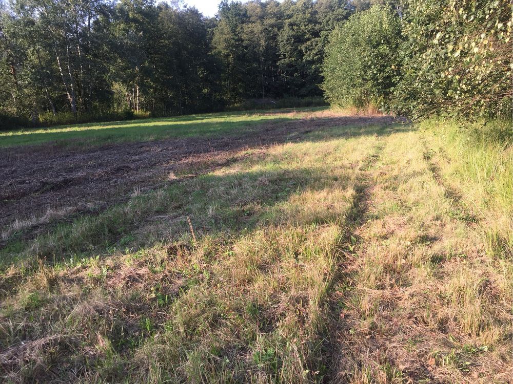 Działka na sprzedaż bez pośredników 
 
 Sierzchów - Widok 2