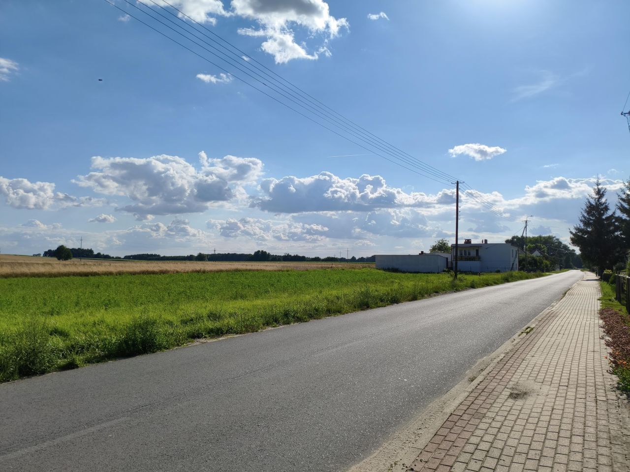 Działka budowlana Lisew. Zdjęcie 4