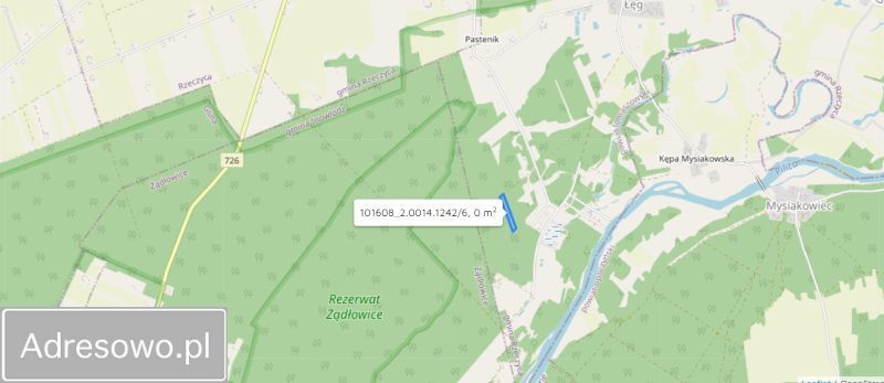 Działka leśna Łęg. Zdjęcie 14